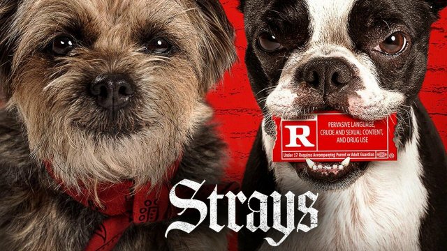 Strays choose words, not violence. #StraysMovie Only In Theaters today!