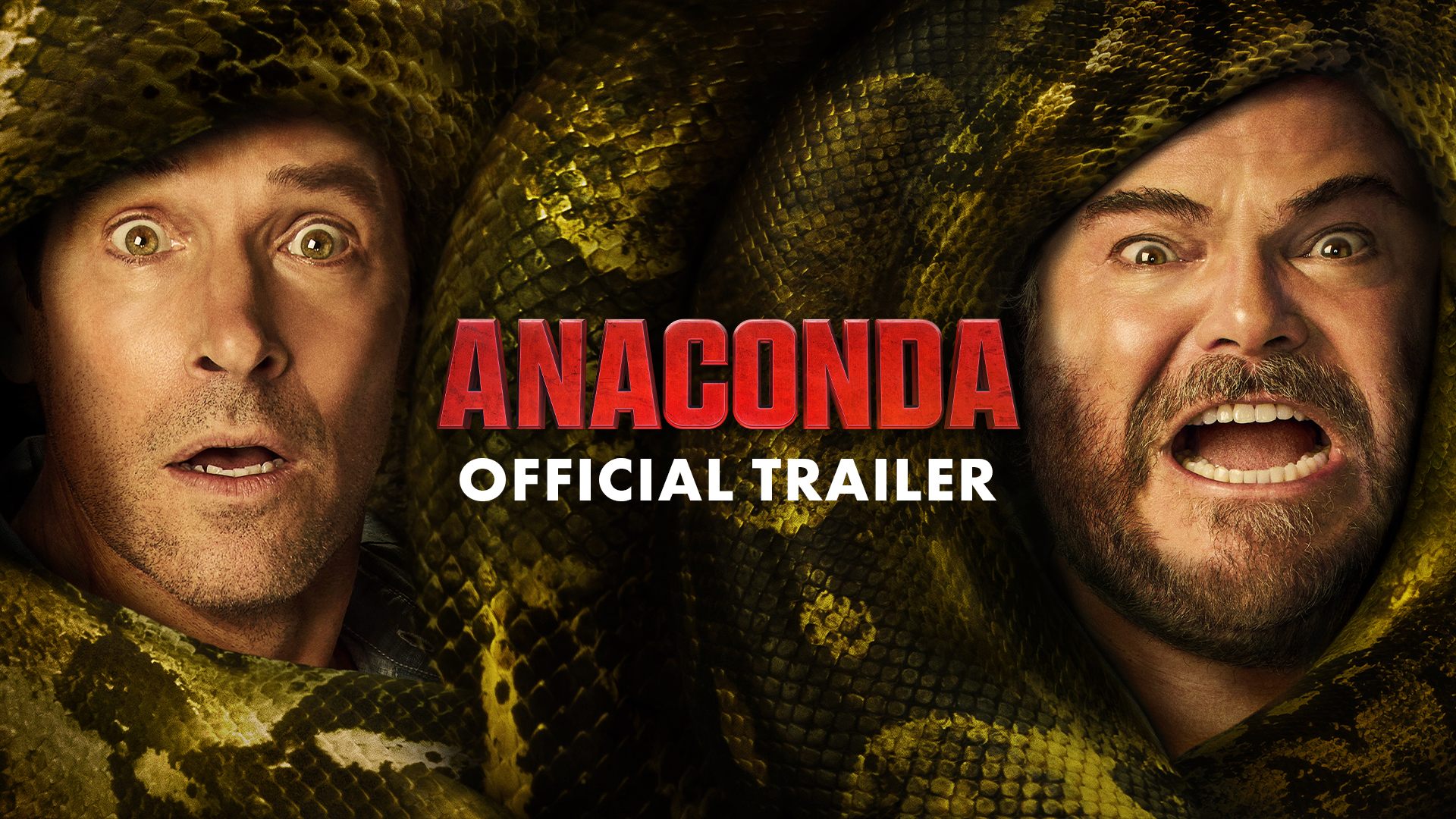 anaconda cmt 1